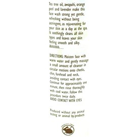 2 Pack Trader Joe's Spa Face Wash with Tea Tree Oil
