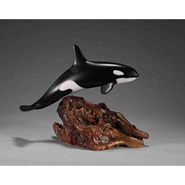 ORCA Sculpture by John Perry Killer Whale Large version 12in long on burl base