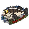 DIA SCALE Fishing Sticker (Meval)