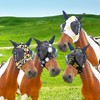 Super Comfort Fly Marsks for Horses of 4pcs Set-Horse FlyMask