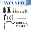 Carb Carburetor Repair Kit with Choke Plunger Starter Valve and