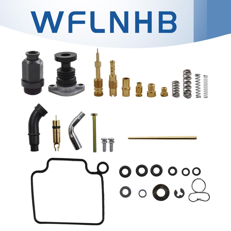 Carb Carburetor Repair Kit with Choke Plunger Starter Valve and