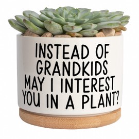 JENVIO Gifts for Mom from Daughter | Ceramic Succulent Pot Plant | Cool Valentine's Day Birthday Mothers Day Planter Stuff | Unique Gift | Home Kitchen Office Decor 3.6 Inch (Plant Not Included)