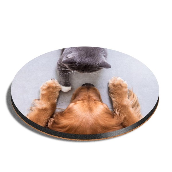 1 x Round Coaster - Labrador and British Grey Cat