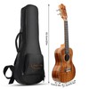 Hricane Professional Concert Ukulele 23 Inch for Adults, Koa Acacia