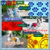 HAG-r Harness, Dog, Sailor Uniform, Stylish, Small and Medium Dogs,