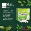 SOUL STICKS Natural Camphor Blocks Pure Camphor Tablets for Aromatherapy