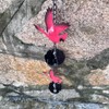 Aifeorzo Cardinal Rain Chain, 8.5Ft Rain Chains for Gutters and
