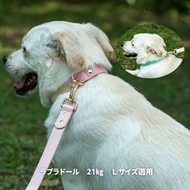 AKAGIICHI Dog Collar Leather Dog Collar Collar for Small, Medium and Large Dogs, Genuine Leather, Basic Dog Collar, Adjustable Pet Collar (Size S, M, L) (M, Pink)