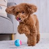 Petio Dog Toy PLAY Squeaker Tennis Ball, Small, Set of