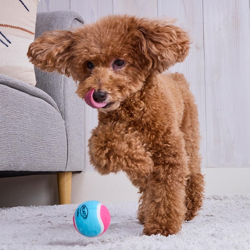 Petio Dog Toy PLAY Squeaker Tennis Ball, Small, Set of