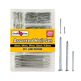 Craft 4 You Zinc Plated Assorted Flat Head Nails, 250pcs - 6 Sizes Flat Head Nails - for framing and Fencing, Wood Work, DIY, Home, Woodwork, Multipurpose Nails C Nails for Brick, Wood, and Masonry