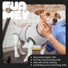 FUAMEY Dog Recovery Suit Male,Dogs Surgery Neuter Suits Puppy Spay