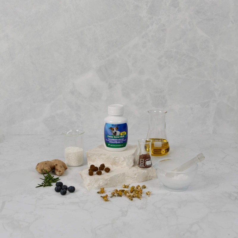 Vetalogica Canine Senior Multi for Dogs 120 Chews