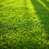 Lotsdonxia 4 Pcs Artificial Grass Mats - 15x15 Cm Turf