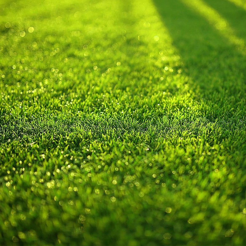 Lotsdonxia 4 Pcs Artificial Grass Mats - 15x15 Cm Turf