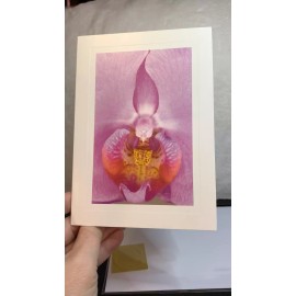 Unbranded Thank You Card! Floral Photography Pink Orchid No Silent Gratitude