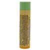 Burt's Bees Cucumber Mint Moisturizing Lip Balm for Women, Orange,