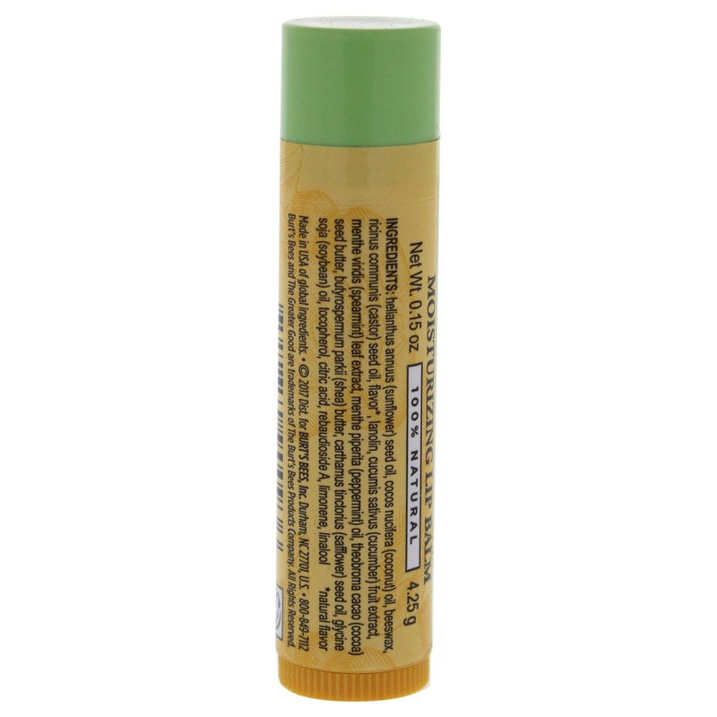 Burt's Bees Cucumber Mint Moisturizing Lip Balm for Women, Orange,