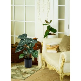 Serene Spaces Living Artificial Anthurium Plant in Black Pot, Lifelike House Plant for Balcony, Living Room, Kitchen, Office, Patio, Bedroom, Entranceway, Gift Idea, 12" Diameter & 15" Tall