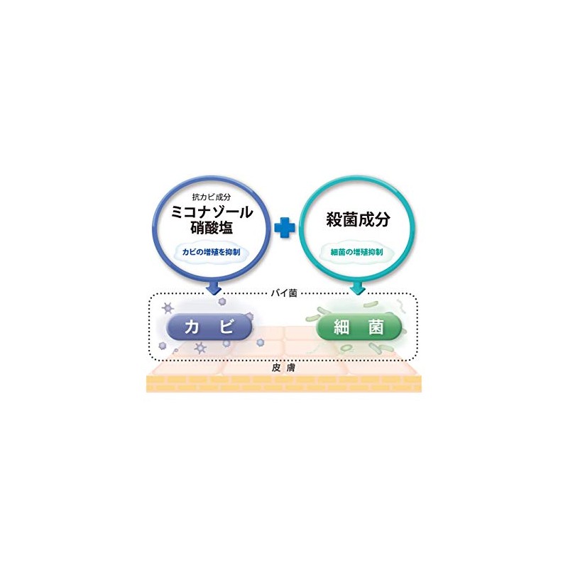 【詰め替えセット】コラージュフルフル 泡石鹸 本体300ml＋詰め替え210ml 抗菌 薬用 無香料 フケ・かゆみ対策 ボディソープ 低刺激