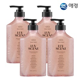 Rubcent Scrub Body Wash 500ml / 럽센트 스크럽 바디워시 500ml X 4개 (플라워마켓벌스데이케이크코지파이어 택1) - 벌스데이케이크