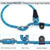 Boswany 12FT / 20FT Anti-Choke Long Training Lead, 3/8" Thick