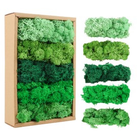 MXTIMWAN Muschio Stabilizzato, Muschio Artificiale Decorativo con 5 Diversi Colori, 200g, Muschio di Renne Artificiale per Decorazioni, Decorazioni o Modellismo, Fai da Te di Muschio