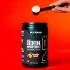 Creatina NutraBio Micronizada Monohidratada Micronized Creatine Monohydrate Powder, 300g