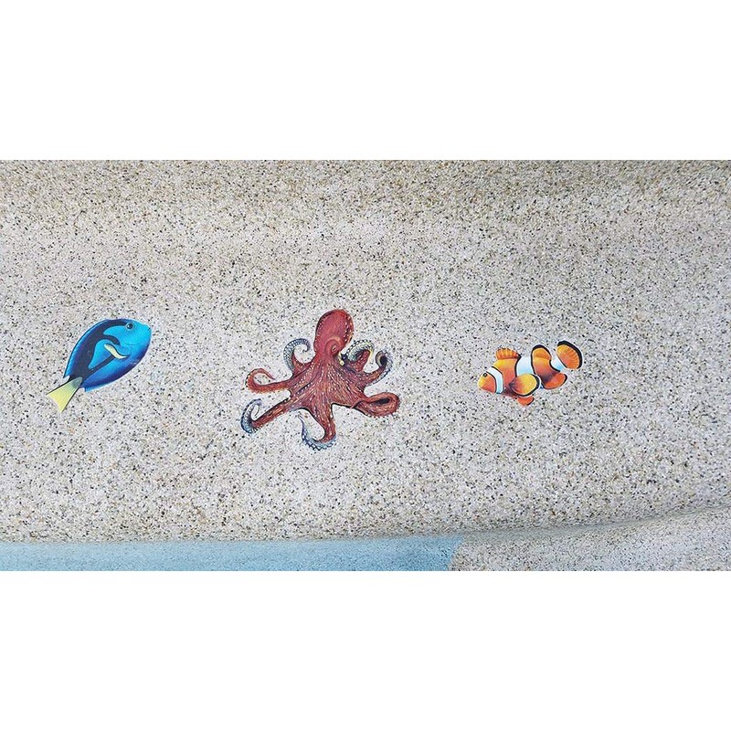 Clown Fish Porcelain Swimming Pool Mosaic (5" x 3")