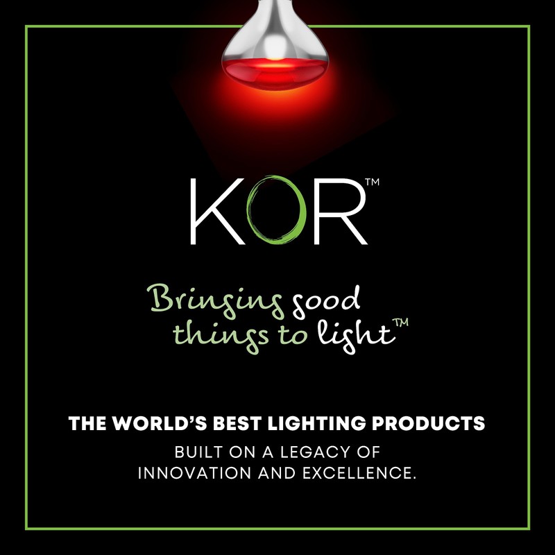 KOR 250W R40 Red Incandescent Heat Lamp Bulbs, E26 Medium