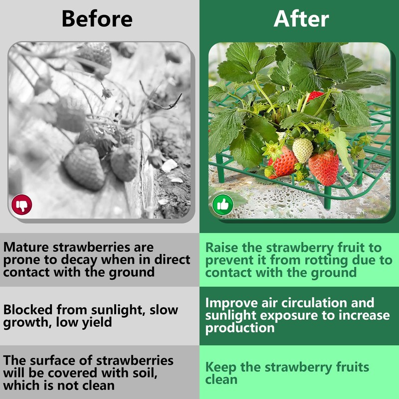 Iceyyyy 12 Packs Square Strawberry Supports-Strawberry Growing Racks- Plant Support