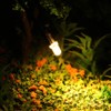 Evemodel L123WM 20pcs Pre Wired 3mm WARM White Led Lamp