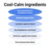 ISNTREE Hyaluronic Acid Airy Sun Stick - Sun Cream Ideal
