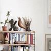 ThriBartLive Mid-Century House Bird Walnut Wood Home Décor, Modern Style