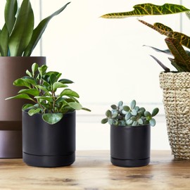 D'vine Dev 3.5 Inch & 4.6 Inch Ceramic Planter Pots for Plants with Drainage Hole and Saucer, X-Small Plant Pots Set, Black, 94-G-XS-2