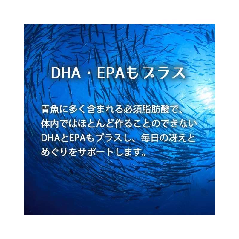 Lipsa T-600-3 Ginkgo Biloba Leaf + DHA + EPA Grain,