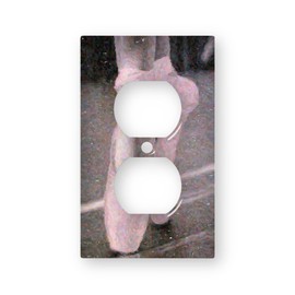 Ballet Shoes Painting - AC Outlet Decor Wall Plate Cover Metal