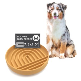 Should We Go? - The Slowdown Bowl - Silicone Slow Feeder for Dogs & Puppies, Slow Eating, Modern Lick Mat Design, Reduces Gulping, Dishwasher Fit, for All Breed, Mealtime Challenge, Medium-Honey