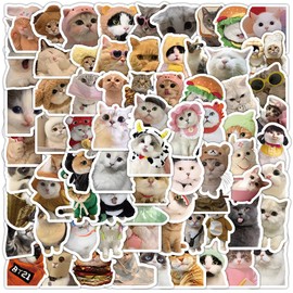 Pack of 100 Small Cat Stickers Aesthetic Stickers with Cute Kittens for Kids Boys Decals