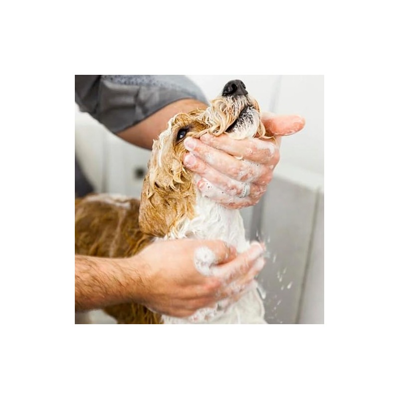 Hundeshampoo VEGAN 200 ml - mildes & beruhigendes Shampoo für