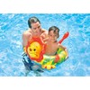 Big Inflatable Animal Swim Ring - Assorted Styles