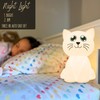 Calm Collective Calming Cat Breathing Trainer Light for Calming Stress,