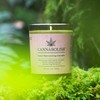 Cannabolish Smoke Odor Eliminating Candle, 7 oz, Natural Ingredients, Wintergreen
