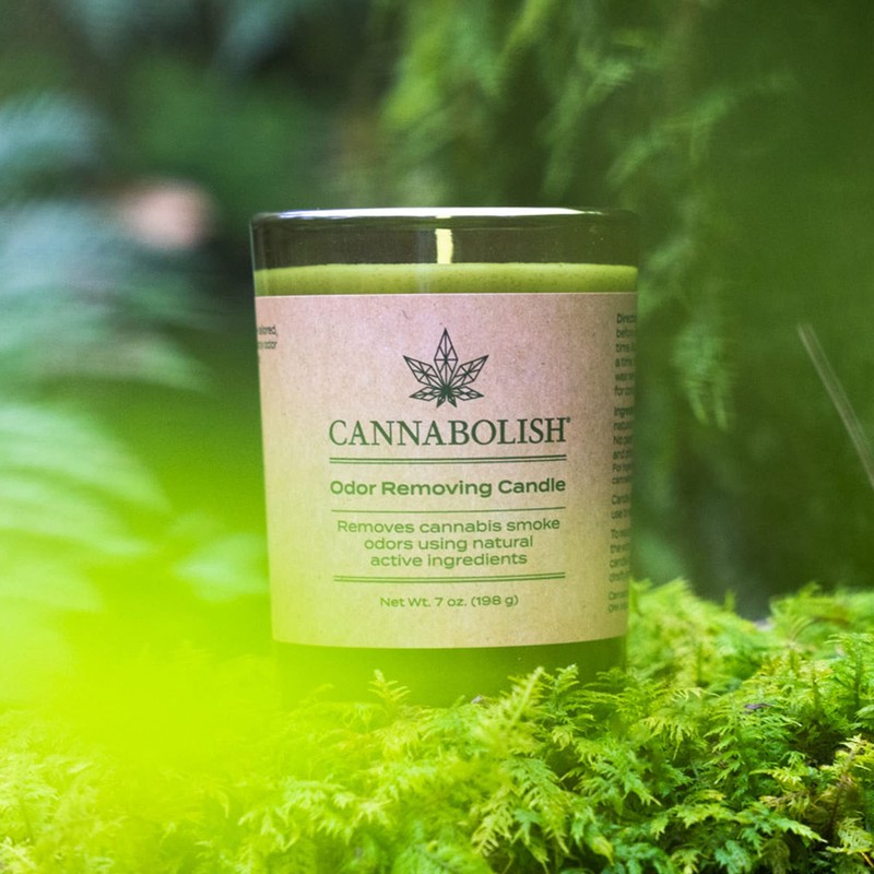 Cannabolish Smoke Odor Eliminating Candle, 7 oz, Natural Ingredients, Wintergreen