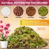 Riare 1QT Orchid Potting Mix for Repotting- Orchid Repotting Kit