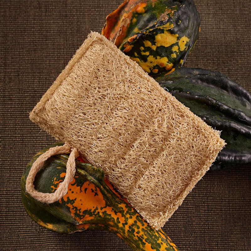 Luffa Spülschwämme, 4er Set