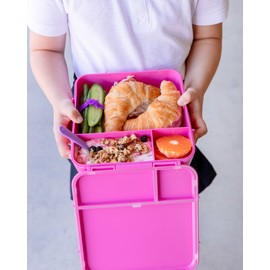 MontiiCo Bento Plus - Calypso