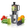 Rosewill Cold Press Juicer, 4.72" Wide Feed Chute Juice Extractor