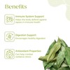 Soursop Leaves 90g